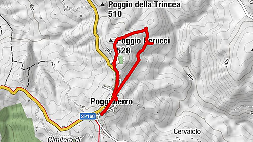 Poggioferro Rundweg durch den Wald 1, Provincia di Grosseto, Italien