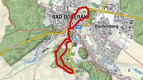 Bad Doberan - Amerikagehölz - Quellholz