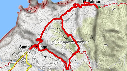 Drachenbäume von Santa Domingo