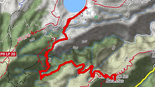 Lorbeerwald von Los Tilos